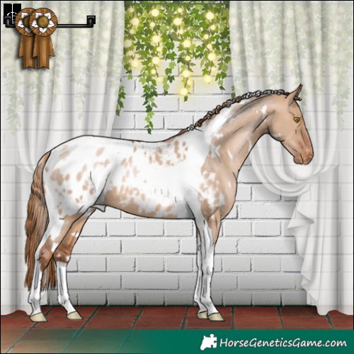 Horse Color:White Spotted Brown Pearl Dun Tobiano Appaloosa 