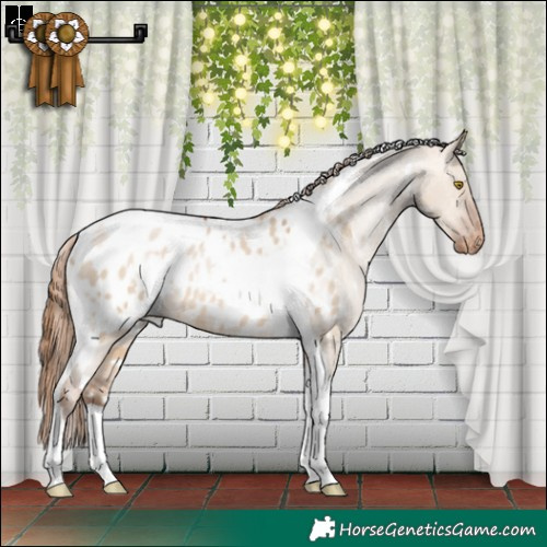 Horse Color:White Spotted Brown Pearl Dun Tobiano Appaloosa 