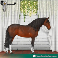 Horse Color:Brown Tobiano Rabicano