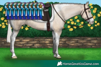 Horse Color:Silver Brown Pearl Dun Sabino Tobiano Varnish