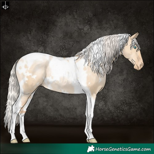 Horse Color:White Spotted Silver Smoky Grullo Pearl Tobiano Varnish Rabicano 