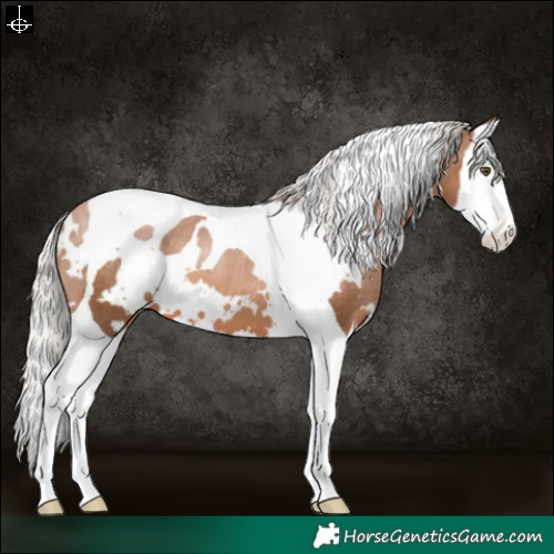Horse Color:White Spotted Silver Brown Pearl Splash Tobiano Varnish 