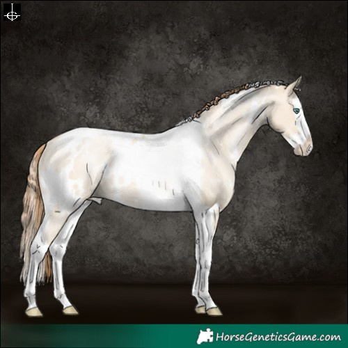 Horse Color:White Spotted Smoky Grullo Pearl Splash Tobiano Varnish Rabicano 