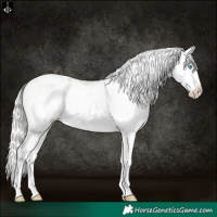 Horse Color:White Spotted Silver Buckskin Pearl Dun Tobiano Appaloosa Rabicano