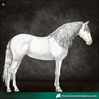 Horse Color:White Spotted Silver Buckskin Pearl Dun Tobiano Appaloosa Rabicano