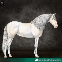 Horse Color:White Spotted Silver Buckskin Pearl Dun Tobiano Appaloosa Rabicano