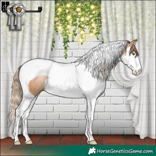 Horse Color:Brown Pearl Sabino Splash Tobiano Varnish 