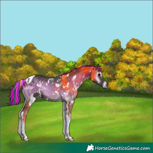 Horse Color:Gray Painted White Spotted Blue Onyx 