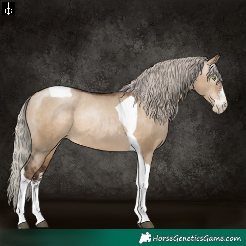 Horse Color:Gray Silver Brown Pearl Dun Sabino Tobiano Varnish Rabicano 