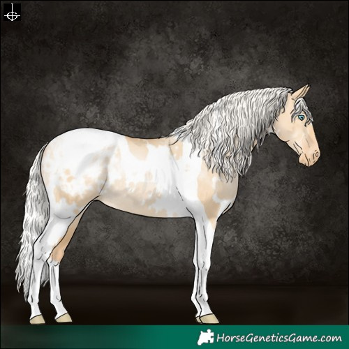 Horse Color:White Spotted Silver Smoky Grullo Pearl Tobiano Blanket Rabicano 