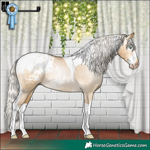 Horse Color:Gray Silver Buckskin Pearl Dun Sabino Tobiano Appaloosa Rabicano 