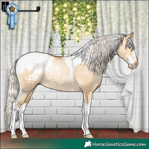 Horse Color:Gray Silver Buckskin Pearl Dun Sabino Tobiano Appaloosa Rabicano 