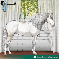 Horse Color:Gray Silver Buckskin Pearl Dun Sabino Tobiano Appaloosa Rabicano