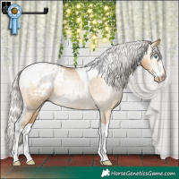 Horse Color:Gray Silver Buckskin Pearl Dun Sabino Tobiano Appaloosa Rabicano 