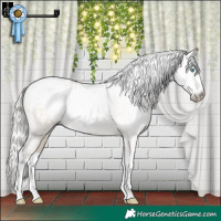 Horse Color:Gray Silver Buckskin Pearl Dun Sabino Tobiano Appaloosa Rabicano 