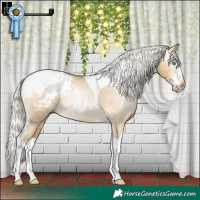 Horse Color:Gray Silver Buckskin Pearl Dun Sabino Tobiano Appaloosa Rabicano