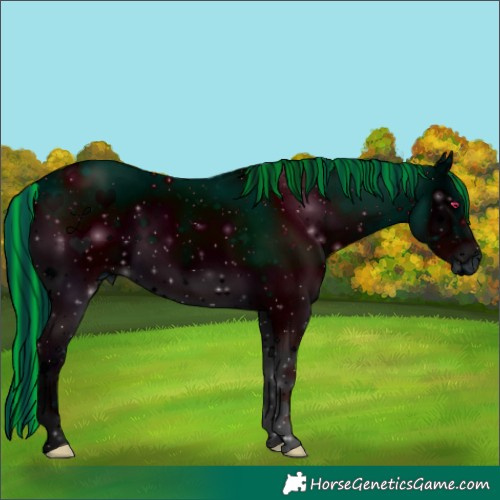 Horse Color:ERROR: UNKNOWN ANOMALY