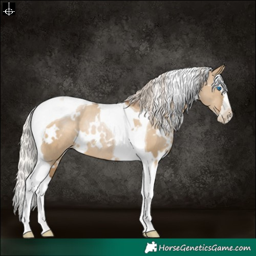 Horse Color:Gray White Spotted Silver Grullo Pearl Splash Tobiano Varnish Rabicano 