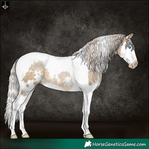Horse Color:Gray White Spotted Silver Smoky Grullo Pearl Splash Tobiano Varnish 