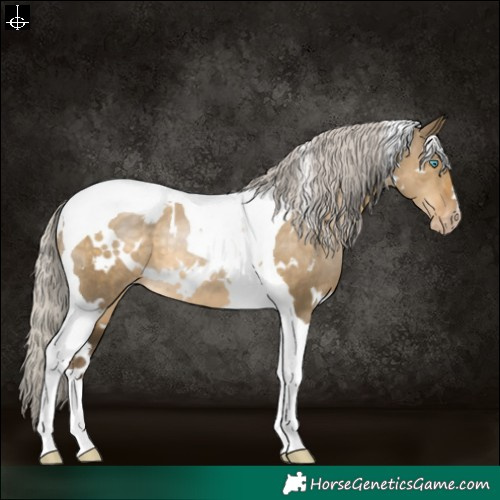 Horse Color:Gray White Spotted Silver Smoky Grullo Pearl Tobiano Varnish 