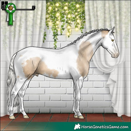 Horse Color:Gray Silver Brown Pearl Dun Sabino Splash Tobiano Appaloosa 