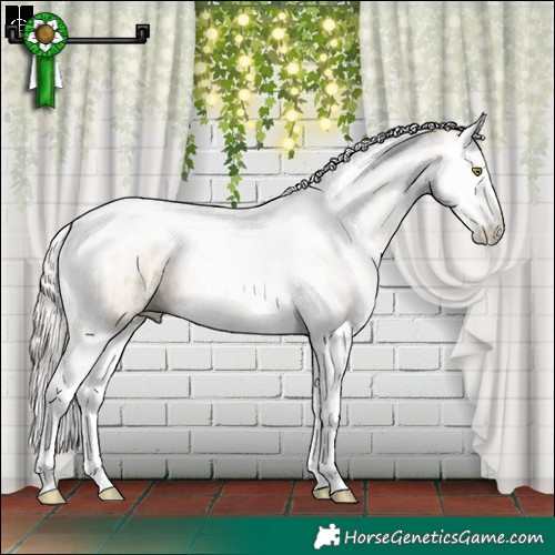 Horse Color:Gray Silver Brown Pearl Dun Sabino Splash Tobiano Appaloosa 