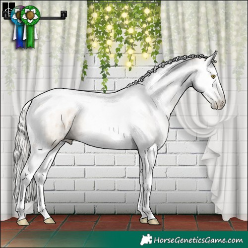 Horse Color:Gray Silver Brown Pearl Dun Sabino Splash Tobiano Appaloosa 