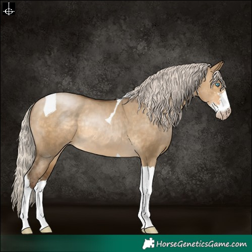Horse Color:Gray Silver Buckskin Pearl Dun Sabino Tobiano Varnish Rabicano 