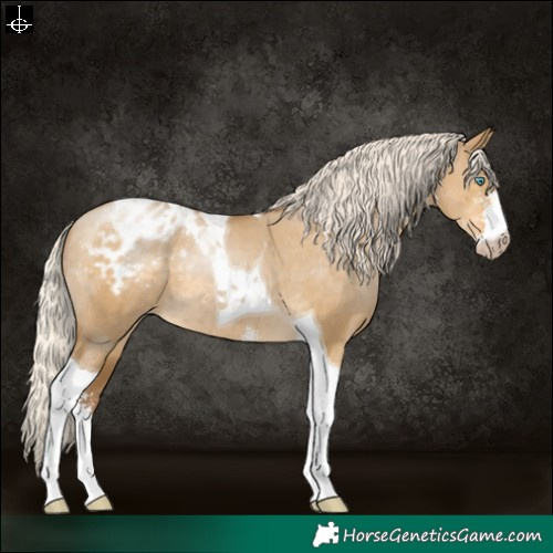Horse Color:Gray Silver Smoky Grullo Pearl Sabino Tobiano Varnish 