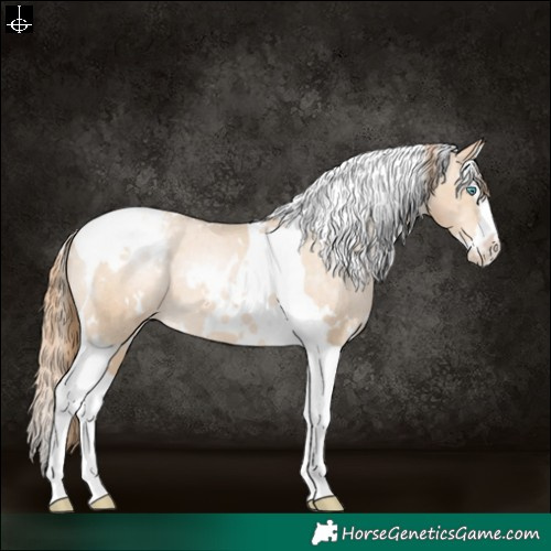 Horse Color:White Spotted Buckskin Pearl Splash Tobiano Varnish 