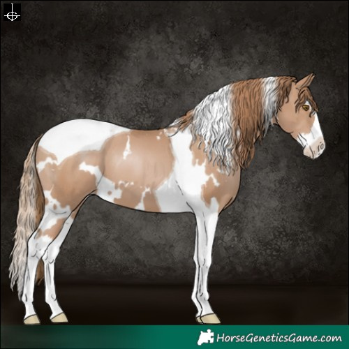 Horse Color:White Spotted Black Pearl Splash Tobiano Varnish 