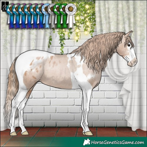 Horse Color:Black Pearl Sabino Splash Tobiano Blanket 