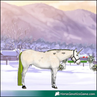Horse Color:Void Painted Buckskin Ice Onyx