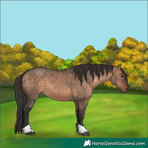 Horse Color:Brown Dun Tobiano Rabicano 