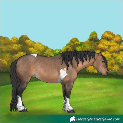 Horse Color:Brown Dun Tobiano Rabicano 