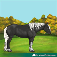 Horse Color:White Spotted Liver Chestnut Mushroom Tobiano 