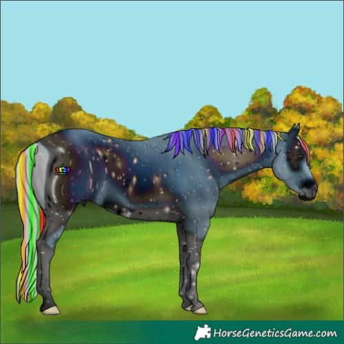 Horse Color:ERROR: UNKNOWN ANOMALY
