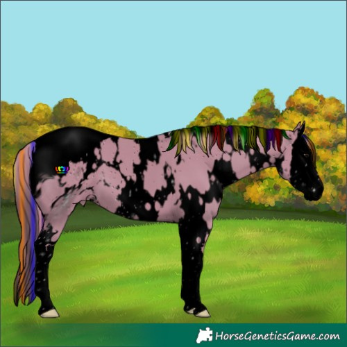 Horse Color:ERROR: UNKNOWN ANOMALY