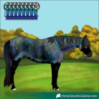 Horse Color:ERROR: UNKNOWN ANOMALY