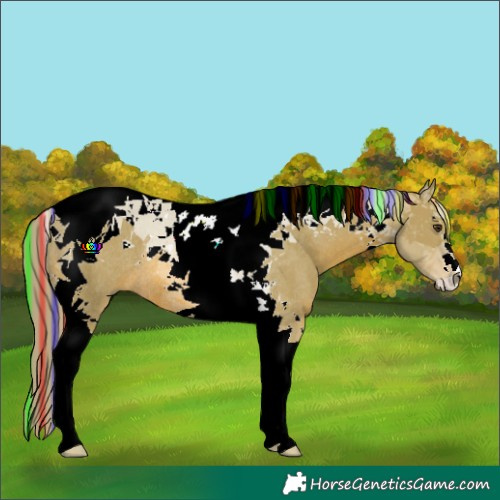 Horse Color:Painted Watercolor Chestnut Tobiano Rabicano 