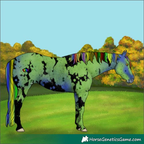 Horse Color:ERROR: UNKNOWN ANOMALY