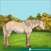 Horse Color:Red Dun