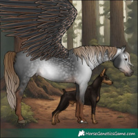 Horse Color:Gray Liver Chestnut 