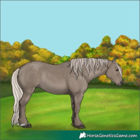 Horse Color:Silver Grullo Rabicano 
