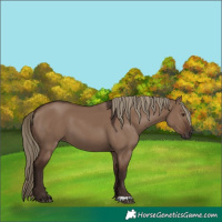 Horse Color:Liver Red Dun