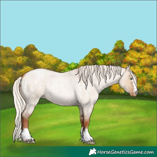Horse Color:Silver Brown Roan Pearl Dun 