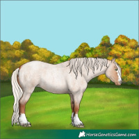Horse Color:Silver Brown Roan Pearl Dun 