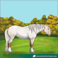Horse Color:Silver Brown Roan Pearl Dun 