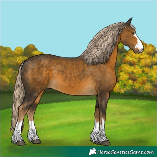 Horse Color:Chocolate Palomino Mushroom