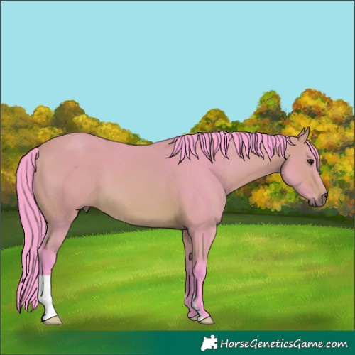 Horse Color:Watercolor Bay 
